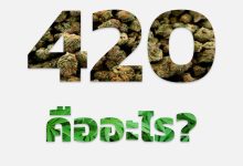 420 คือ