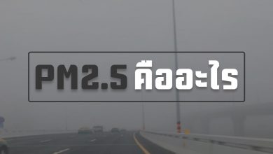 PM 2.5 คืออะไร