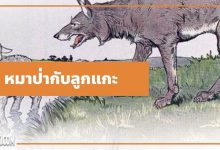 นิทานอีสป : หมาป่ากับลูกแกะ (The Wolf & the Lamb)