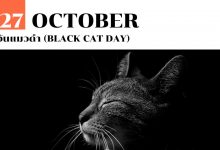 27 ตุลาคม วันแมวดำ (Black Cat Day)