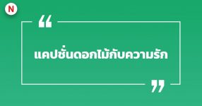 รวมแคปชั่นดอกไม้ แคปชั่นดอกไม้บาน รวมแคปชั่นโดน ๆ – NaniTalk