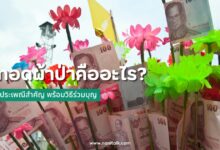 ทอดผ้าป่าคืออะไร? ประเพณีสำคัญ พร้อมวิธีร่วมบุญ