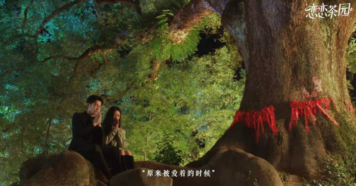 [รีวิวซีรีส์จีน] Love in the Tea Garden | 恋恋茶园 (2024)
