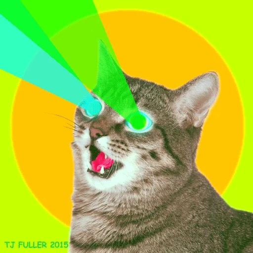 มีมแมว (Cat Meme) แมวสีเทากำลังอ้าปากและมีลำแสงเลเซอร์สีเขียวพุ่งออกมาจากดวงตาสีฟ้าสดใส พื้นหลังสีเขียวและเหลืองตัดกัน