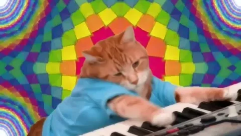 มีมแมว (Cat Meme) Keyboard Cat (เจ้าแมวนักดนตรี)