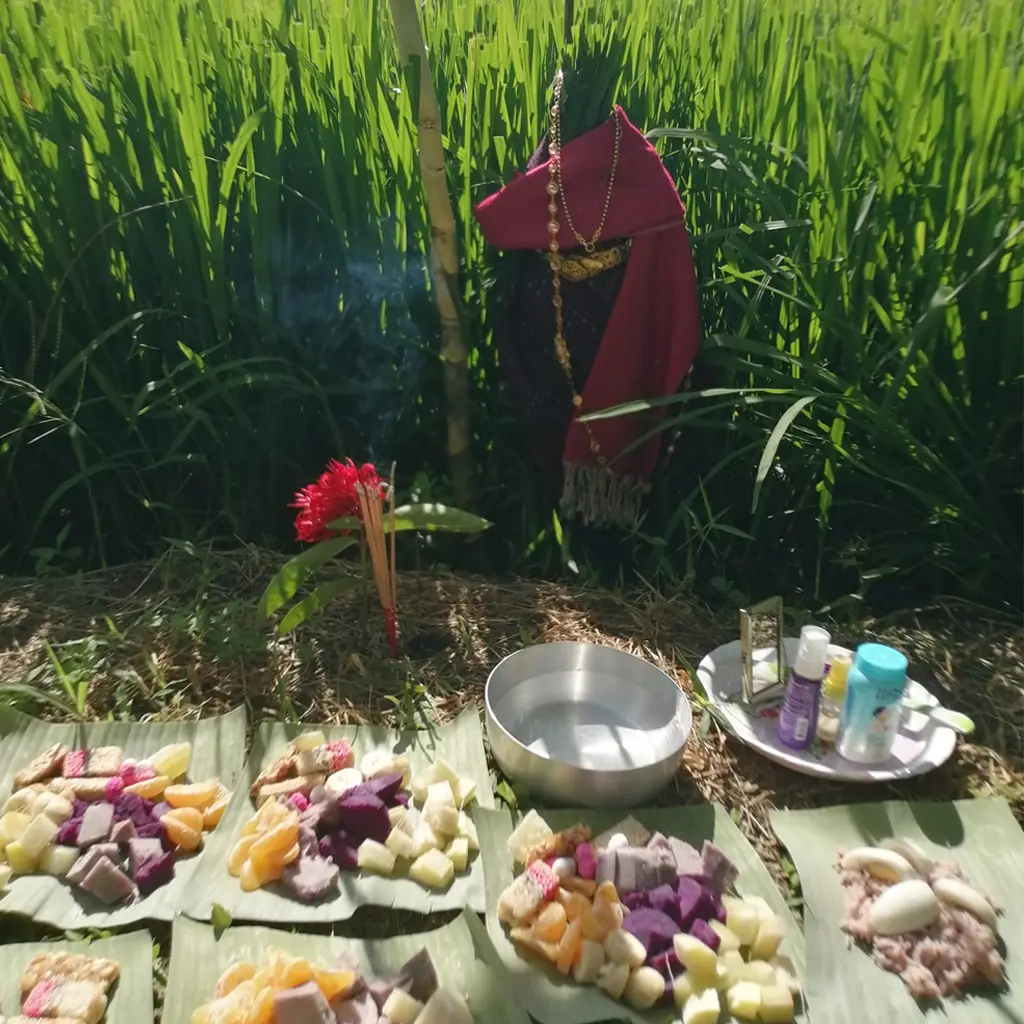 rice blessing ceremony cultural value 1