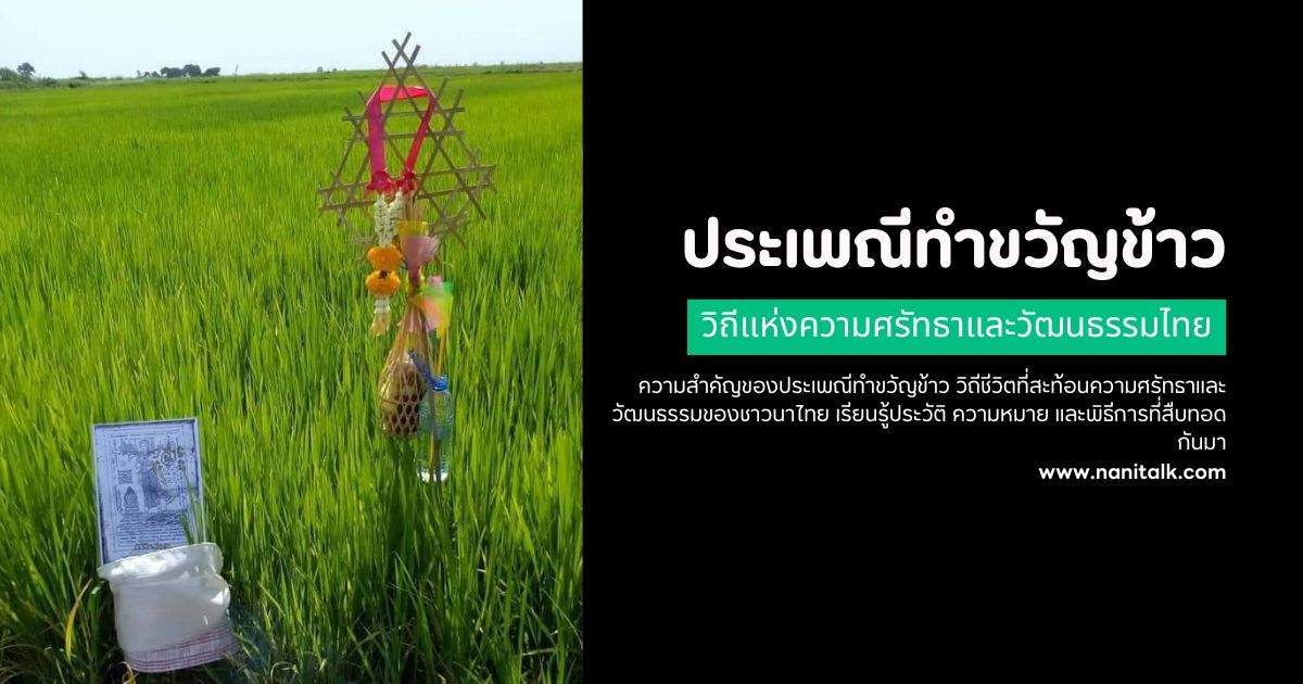 ประเพณีทำขวัญข้าว วิถีแห่งความศรัทธาและวัฒนธรรมไทย