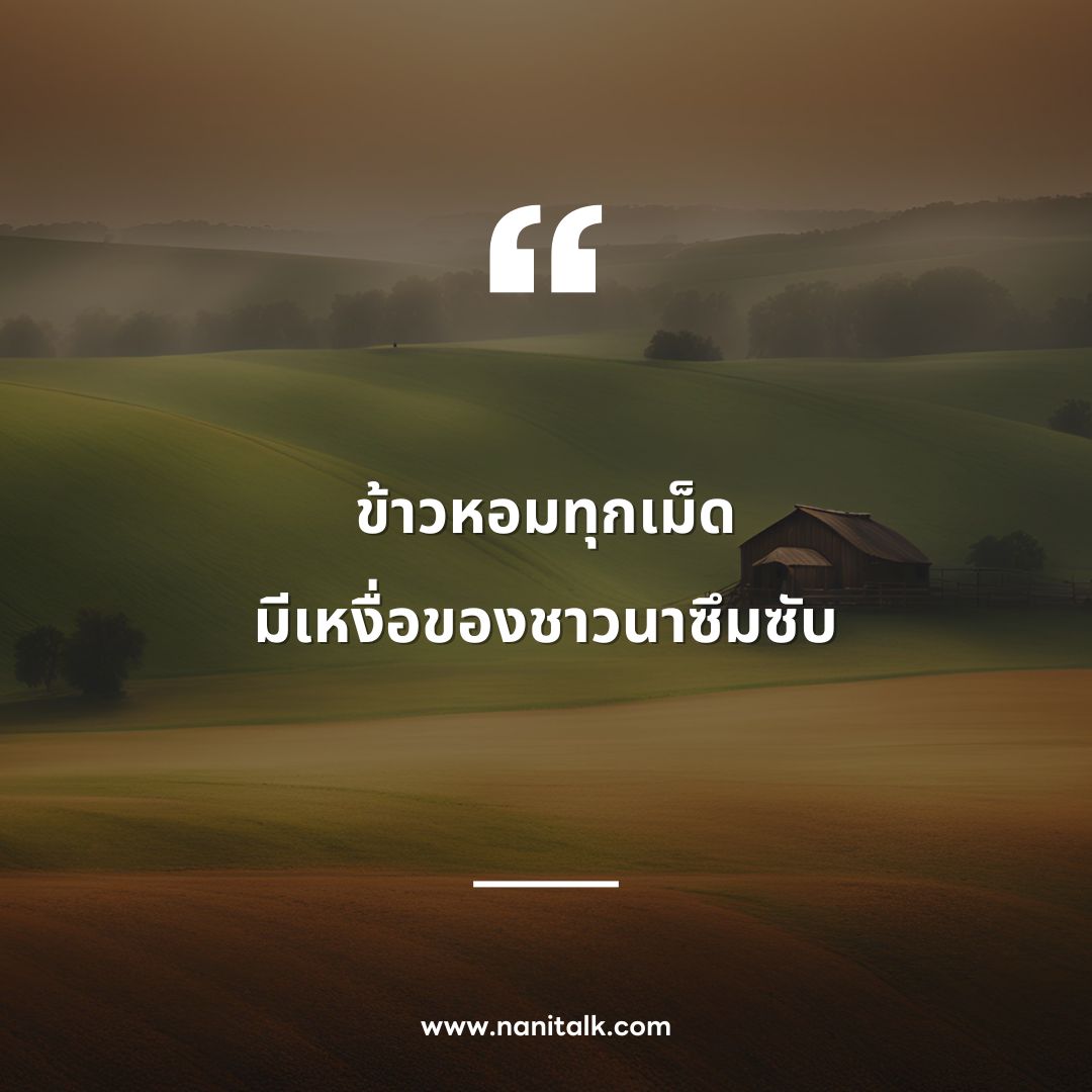 thai farmer quotes inspiration motivation 2