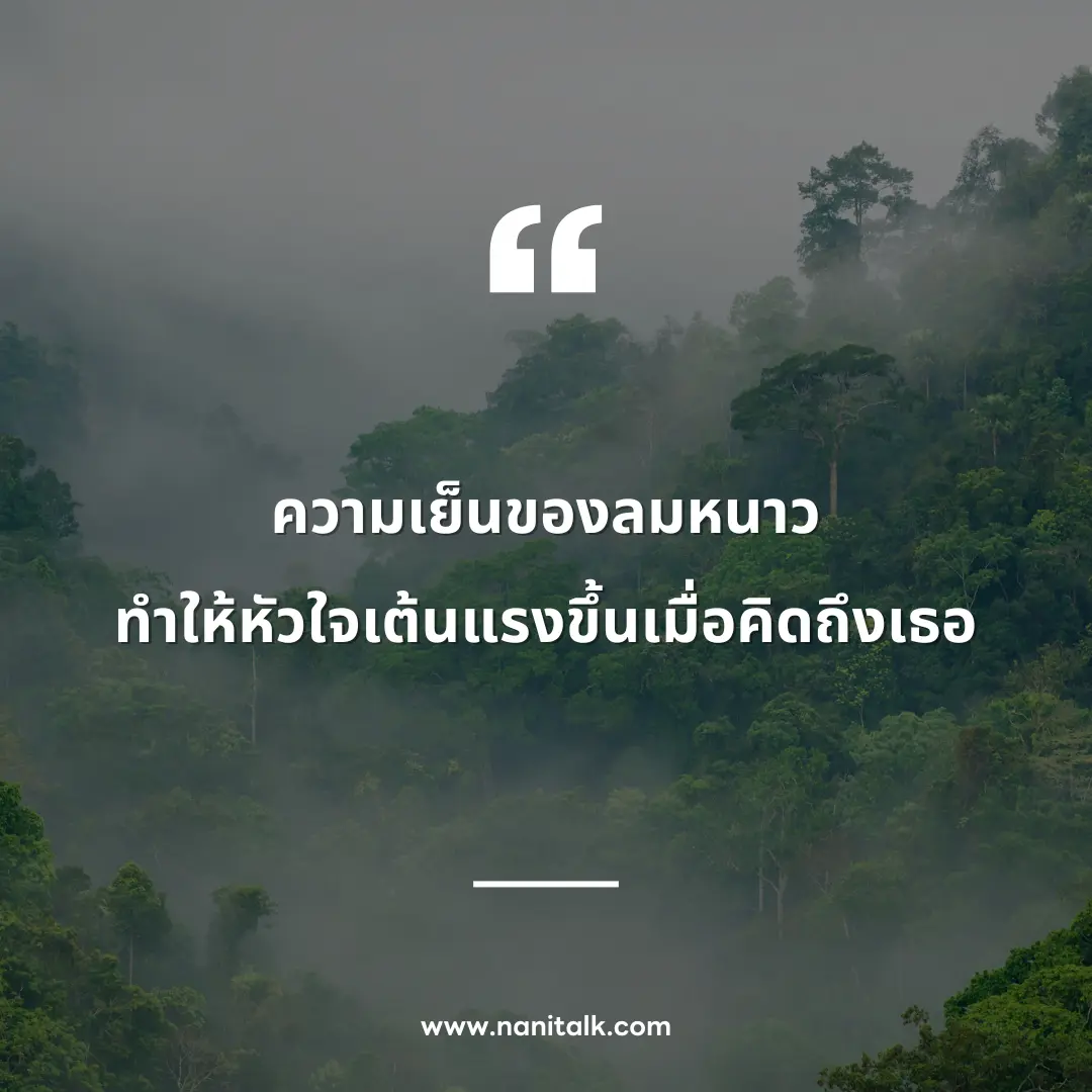 ตัวอย่างคำคมลมหนาว