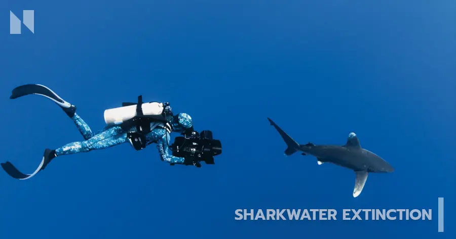 Sharkwater Extinction (2018)