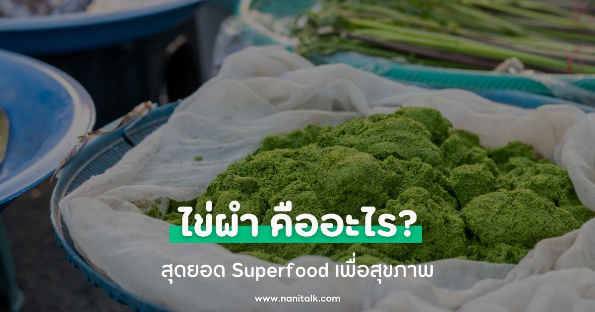 ไข่ผำ (Wolffia) คืออะไร? สุดยอด Superfood เพื่อสุขภาพ