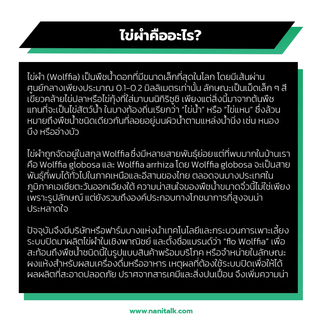 ไข่ผำคืออะไร?