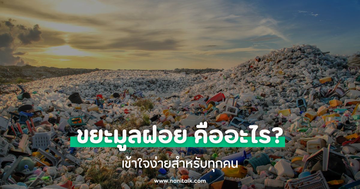 ขยะมูลฝอย (Solid Waste) คืออะไร? เข้าใจง่ายสำหรับทุกคน